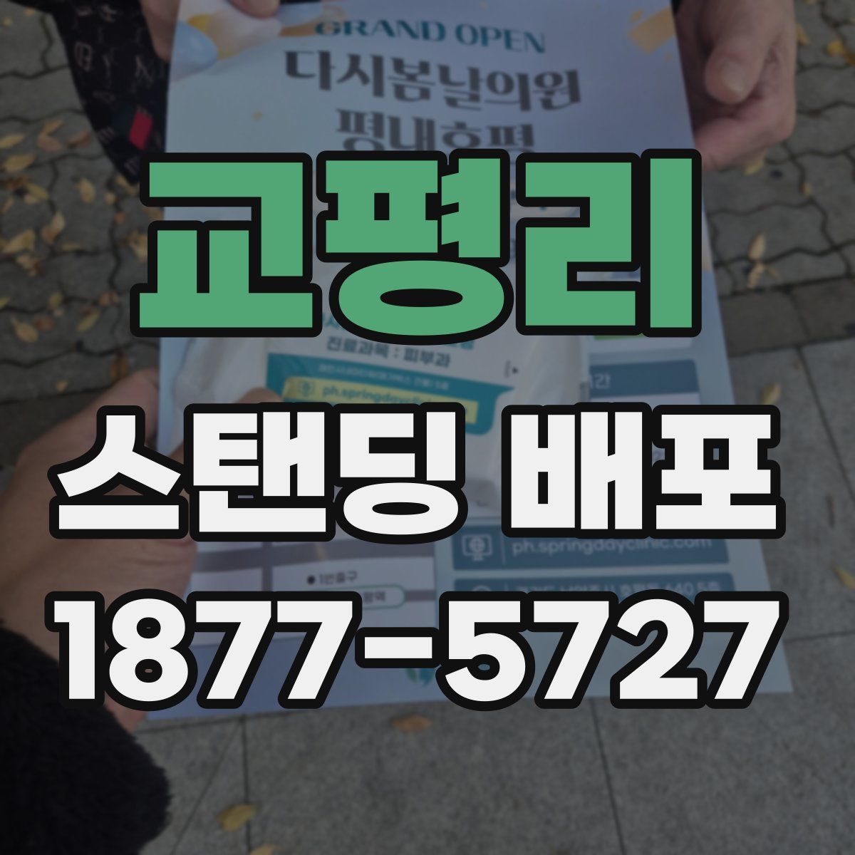 교평리 스탠딩 배포