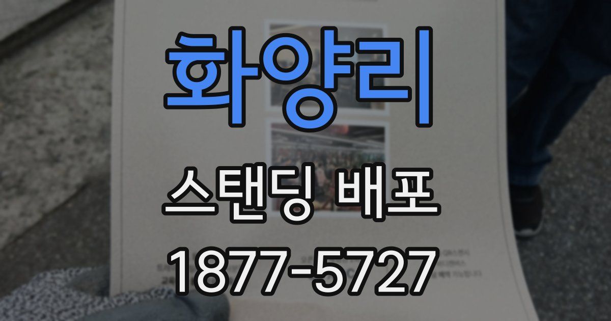 화양리 스탠딩 배포
