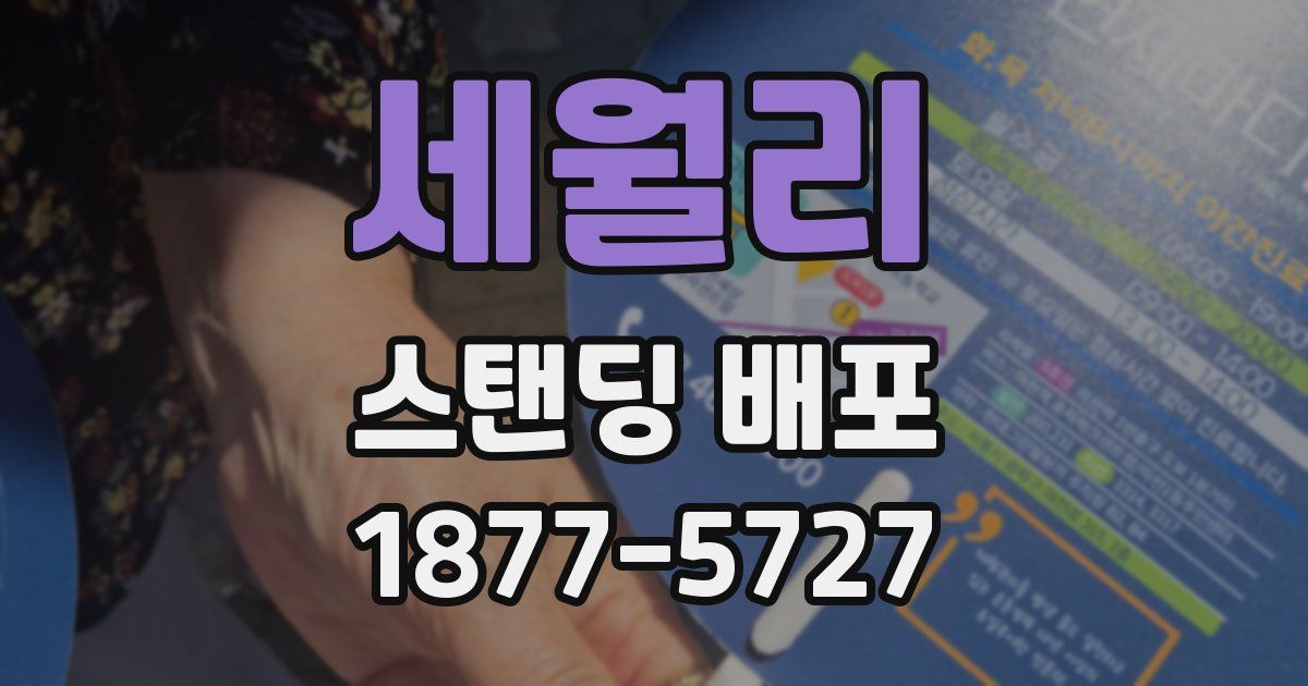 세월리 스탠딩 배포