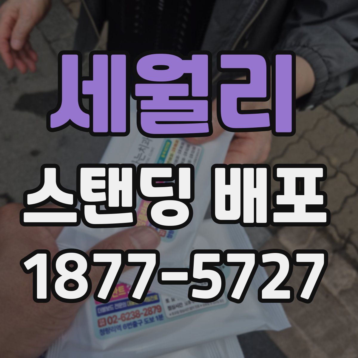 세월리 스탠딩 배포