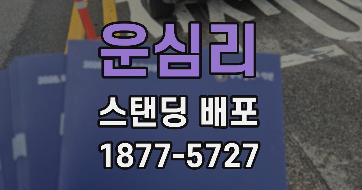 운심리 스탠딩 배포
