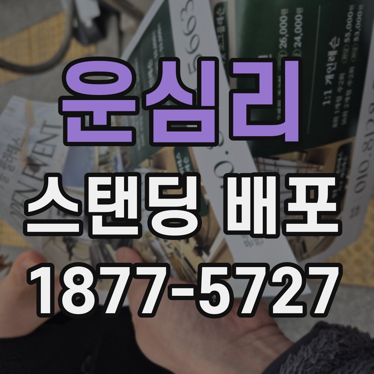 운심리 스탠딩 배포