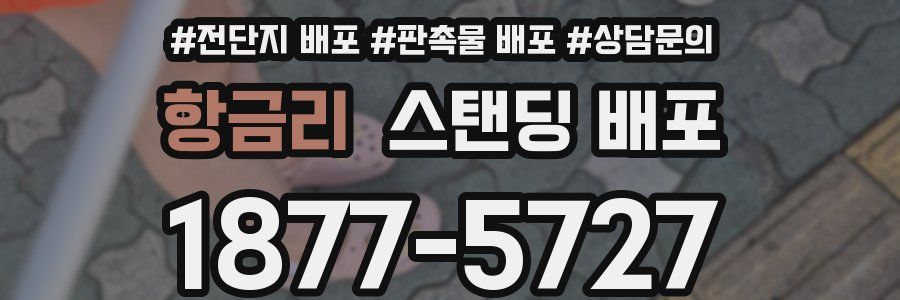 항금리 스탠딩 배포