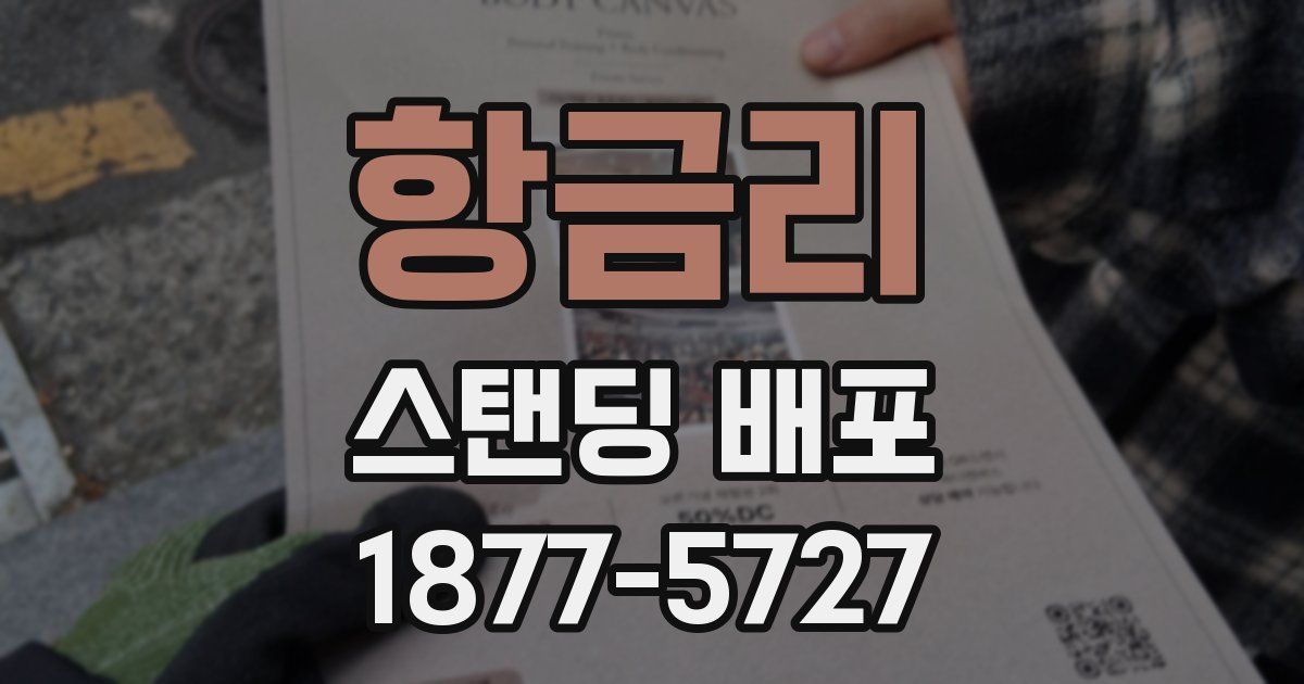 항금리 스탠딩 배포