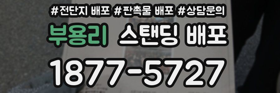 부용리 스탠딩 배포