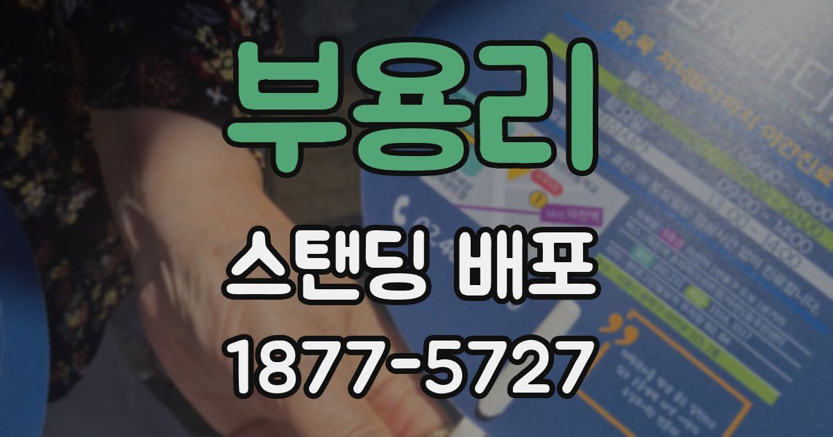 부용리 스탠딩 배포
