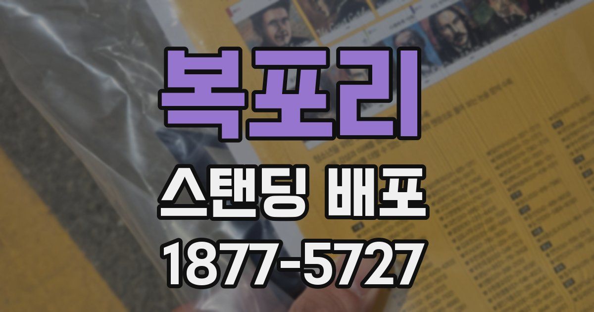 복포리 스탠딩 배포