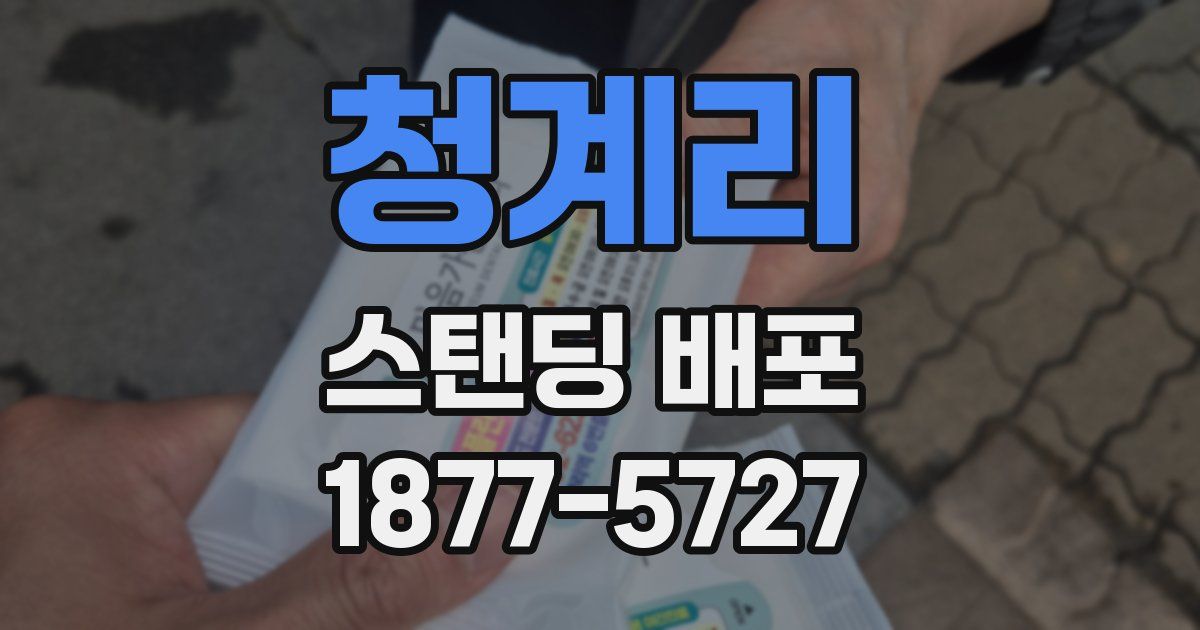 청계리 스탠딩 배포