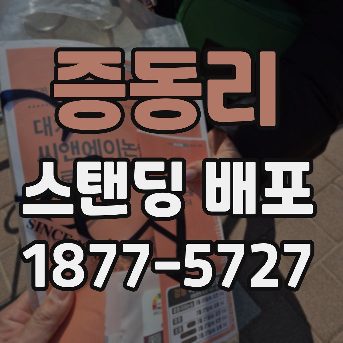 증동리 스탠딩 배포