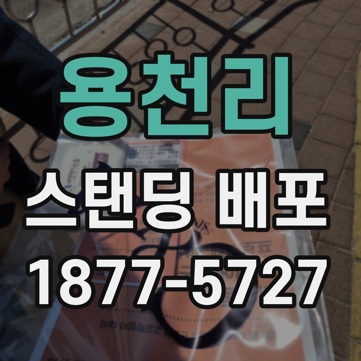 용천리 스탠딩 배포