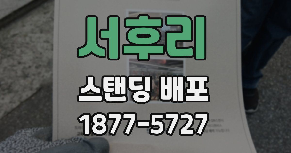 서후리 스탠딩 배포