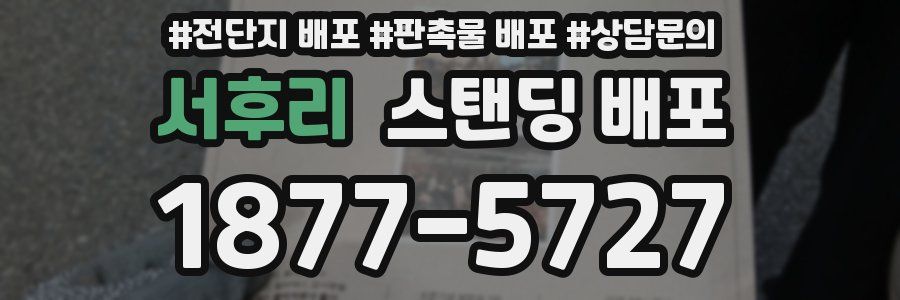 서후리 스탠딩 배포