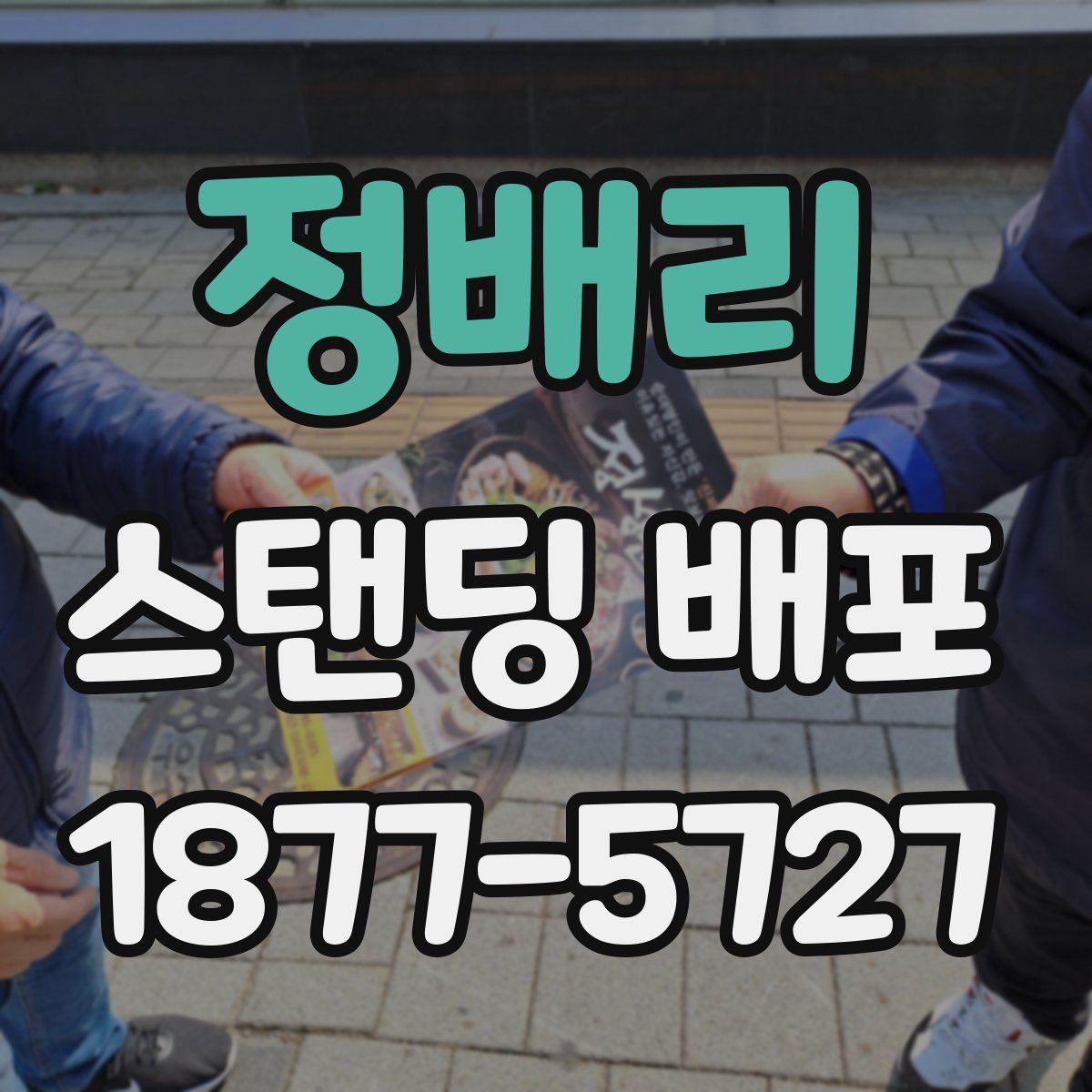 정배리 스탠딩 배포