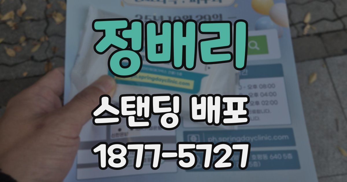 정배리 스탠딩 배포