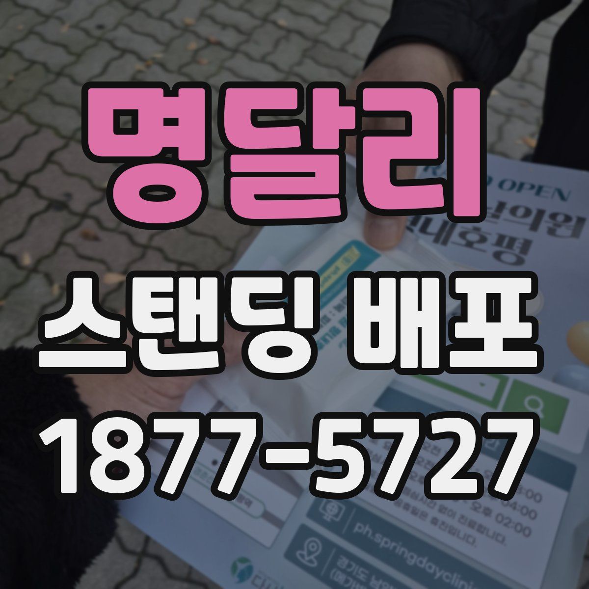 명달리 스탠딩 배포