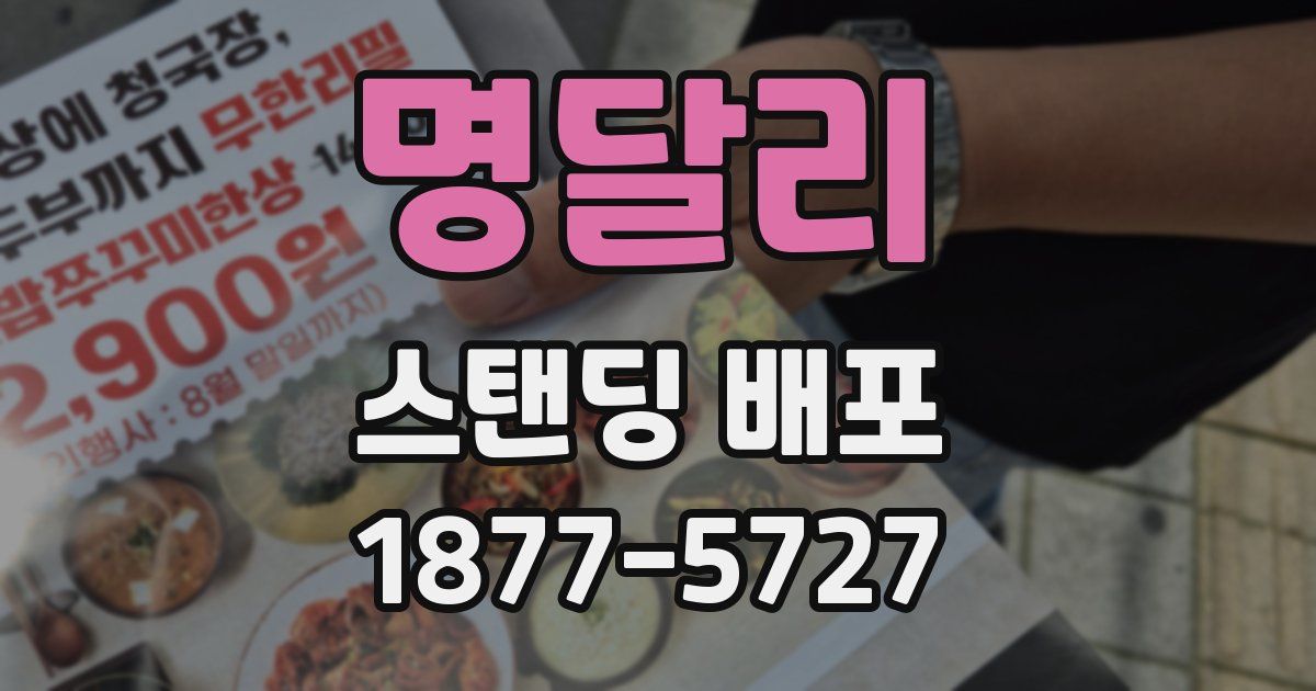 명달리 스탠딩 배포