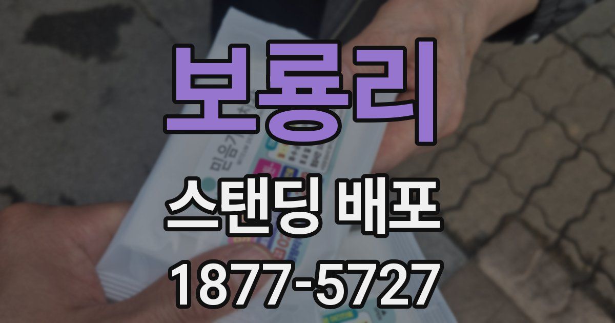 보룡리 스탠딩 배포
