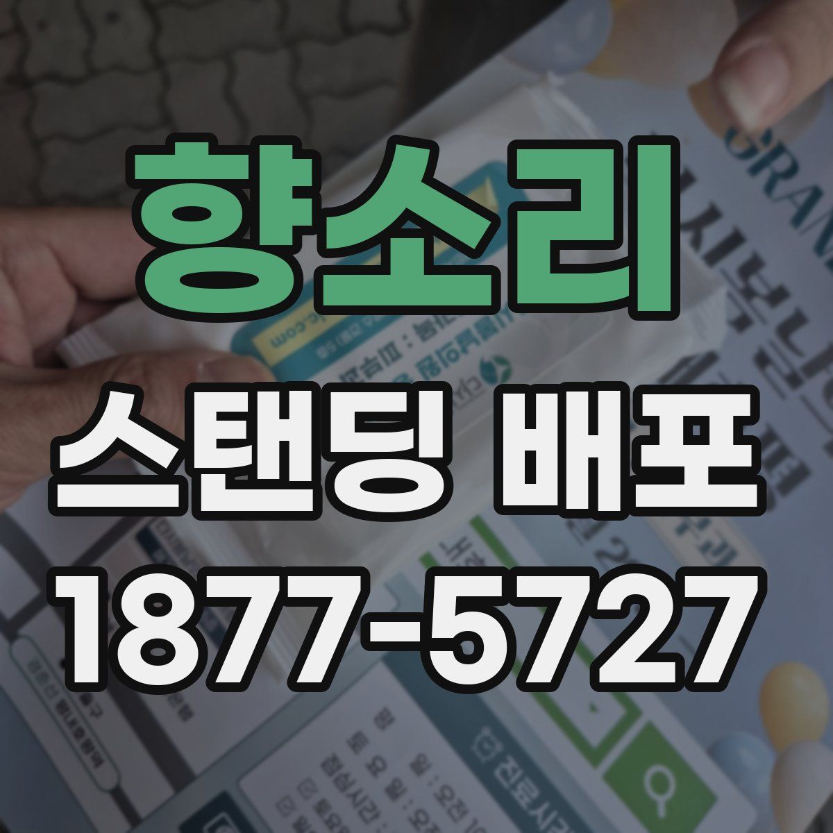 향소리 스탠딩 배포