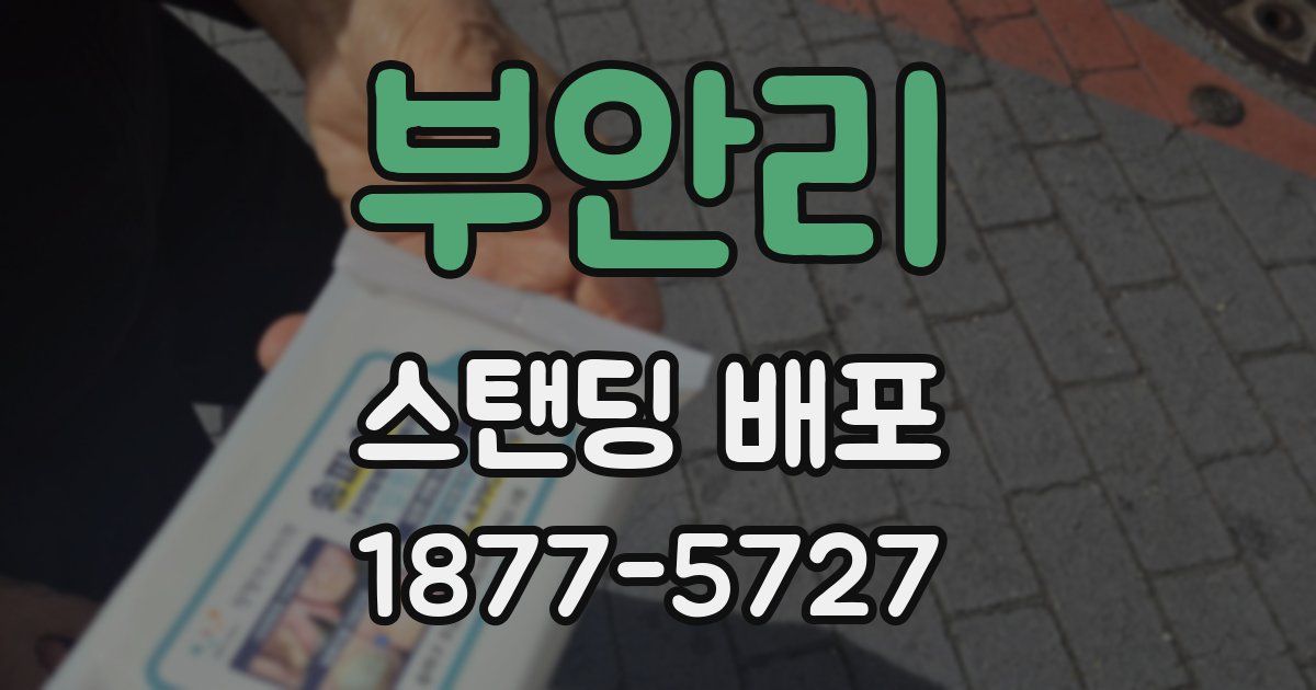 부안리 스탠딩 배포