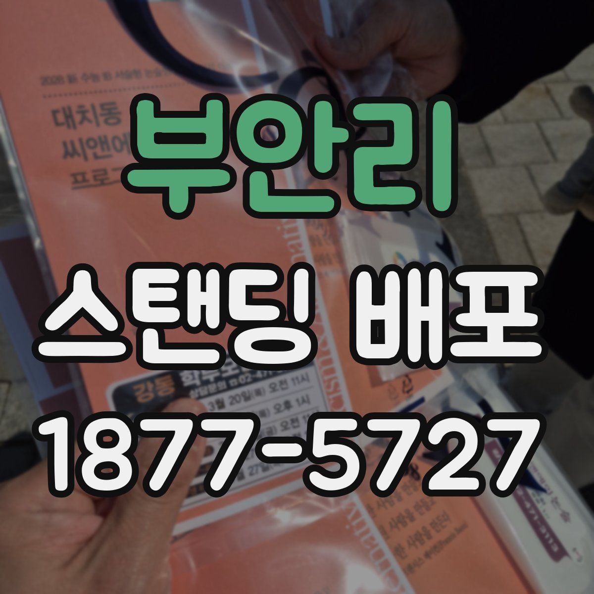 부안리 스탠딩 배포