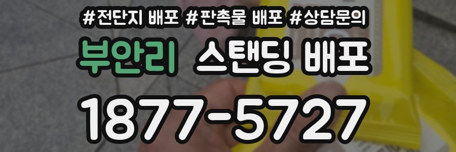 부안리 스탠딩 배포