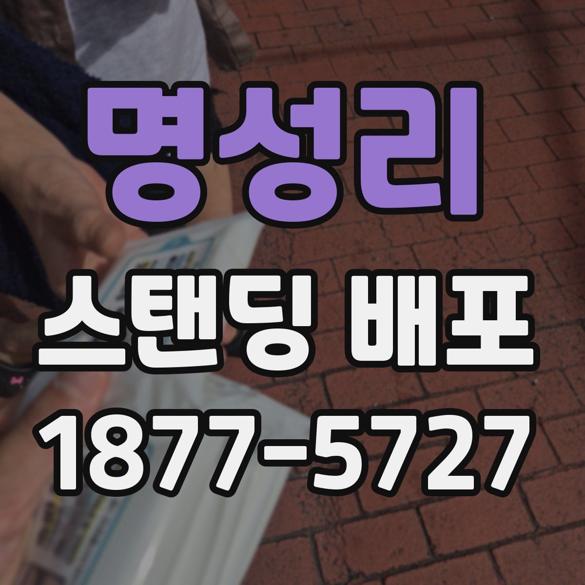 명성리 스탠딩 배포