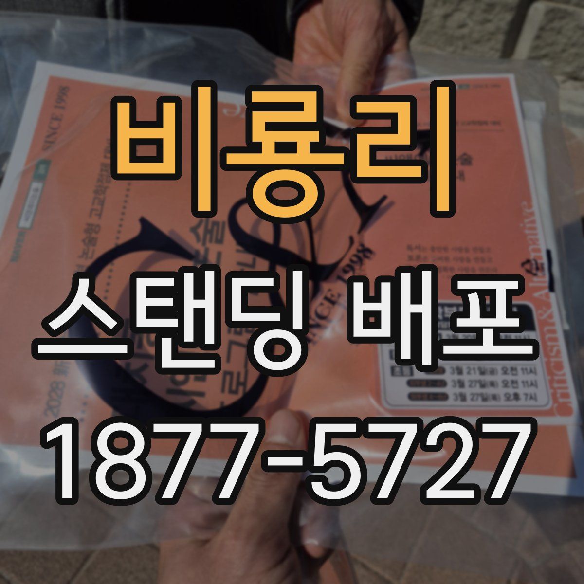 비룡리 스탠딩 배포