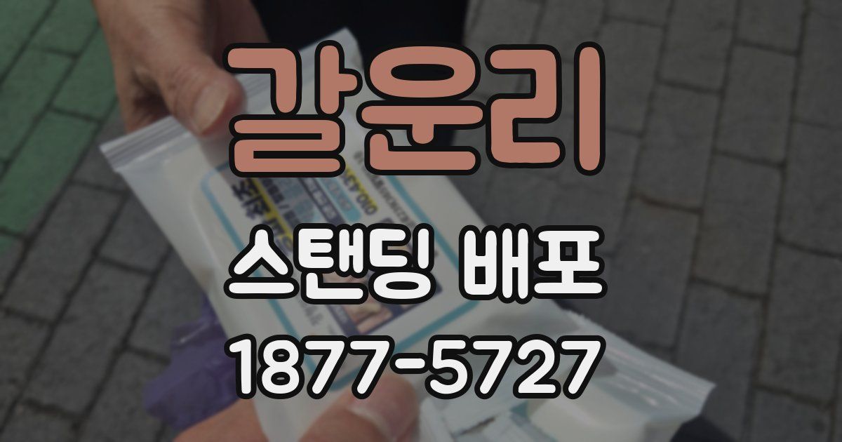 갈운리 스탠딩 배포