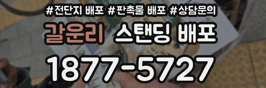 갈운리 스탠딩 배포
