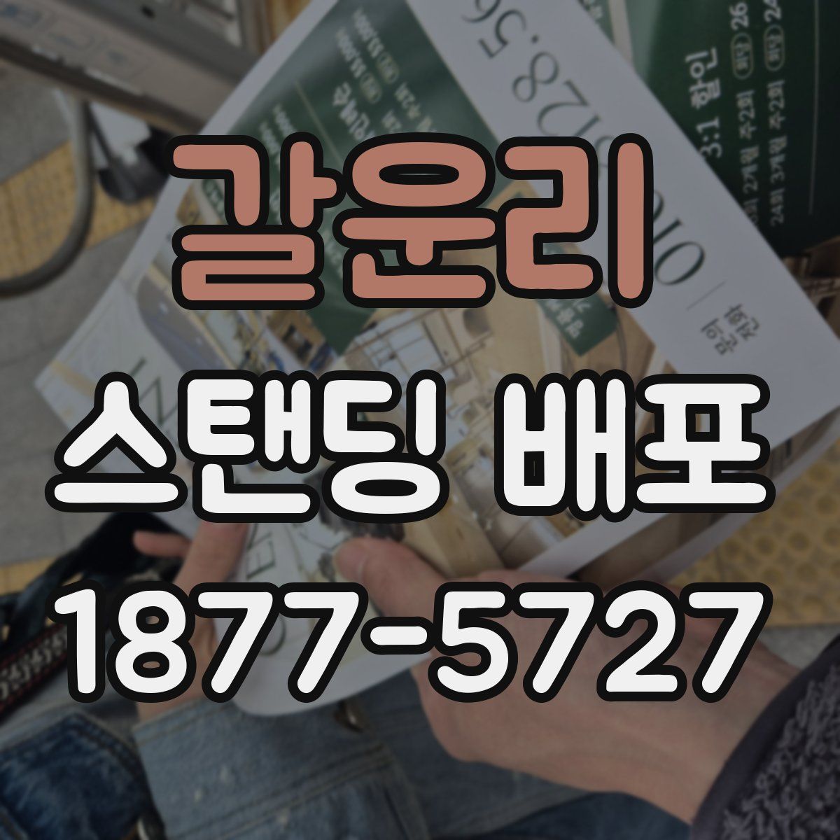 갈운리 스탠딩 배포
