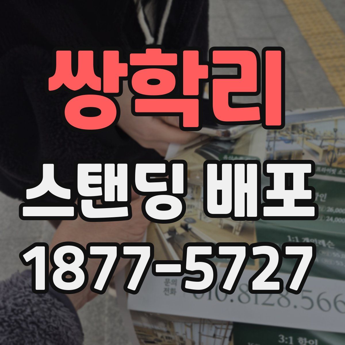 쌍학리 스탠딩 배포