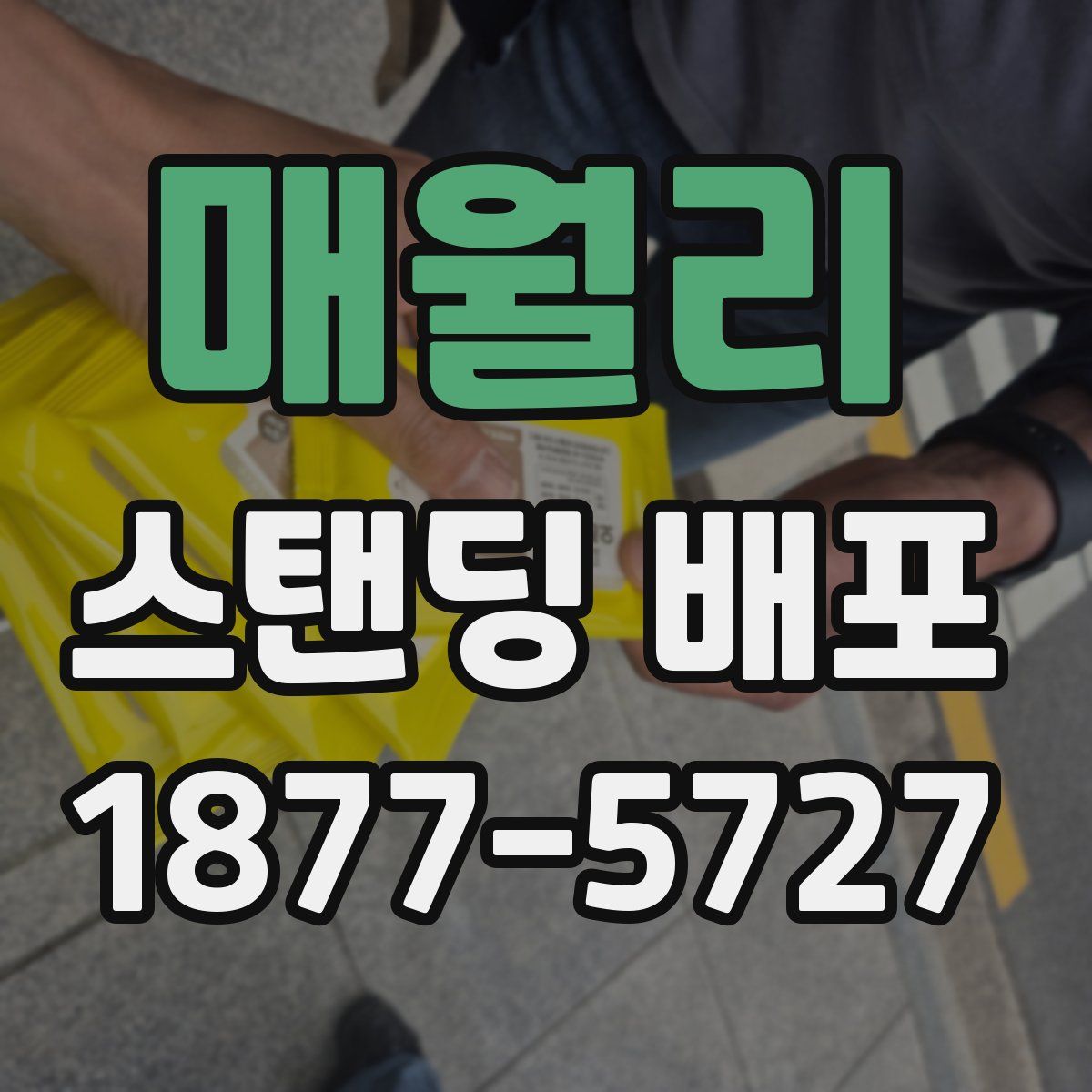 매월리 스탠딩 배포