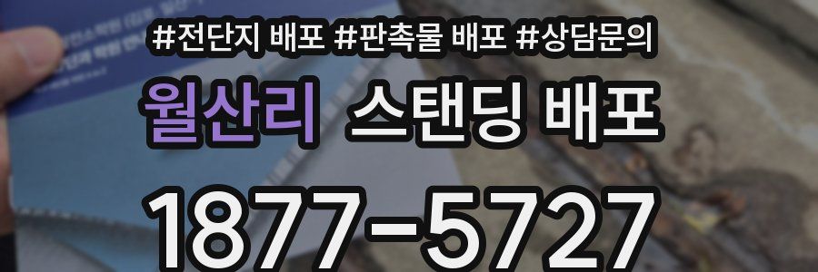 월산리 스탠딩 배포