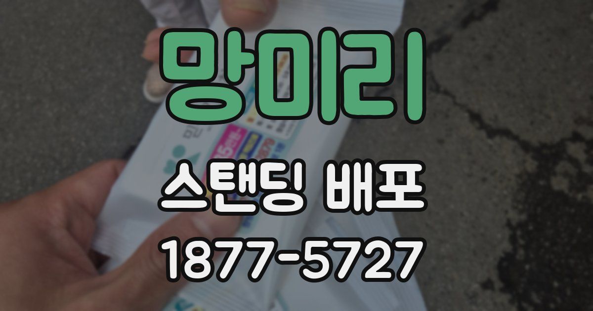 망미리 스탠딩 배포
