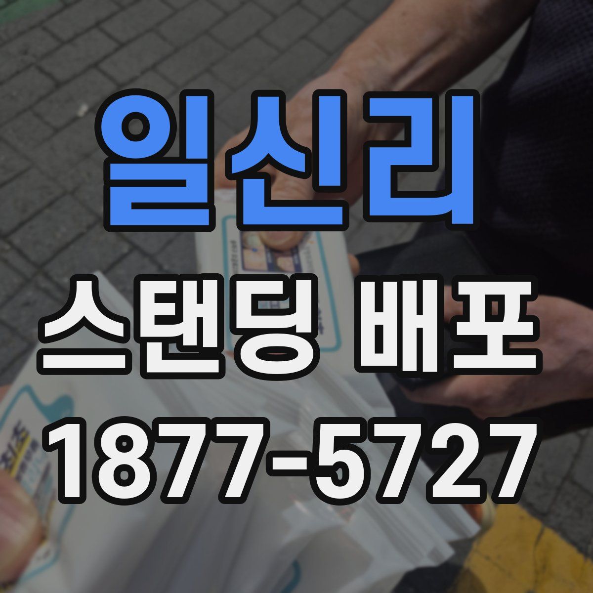 일신리 스탠딩 배포