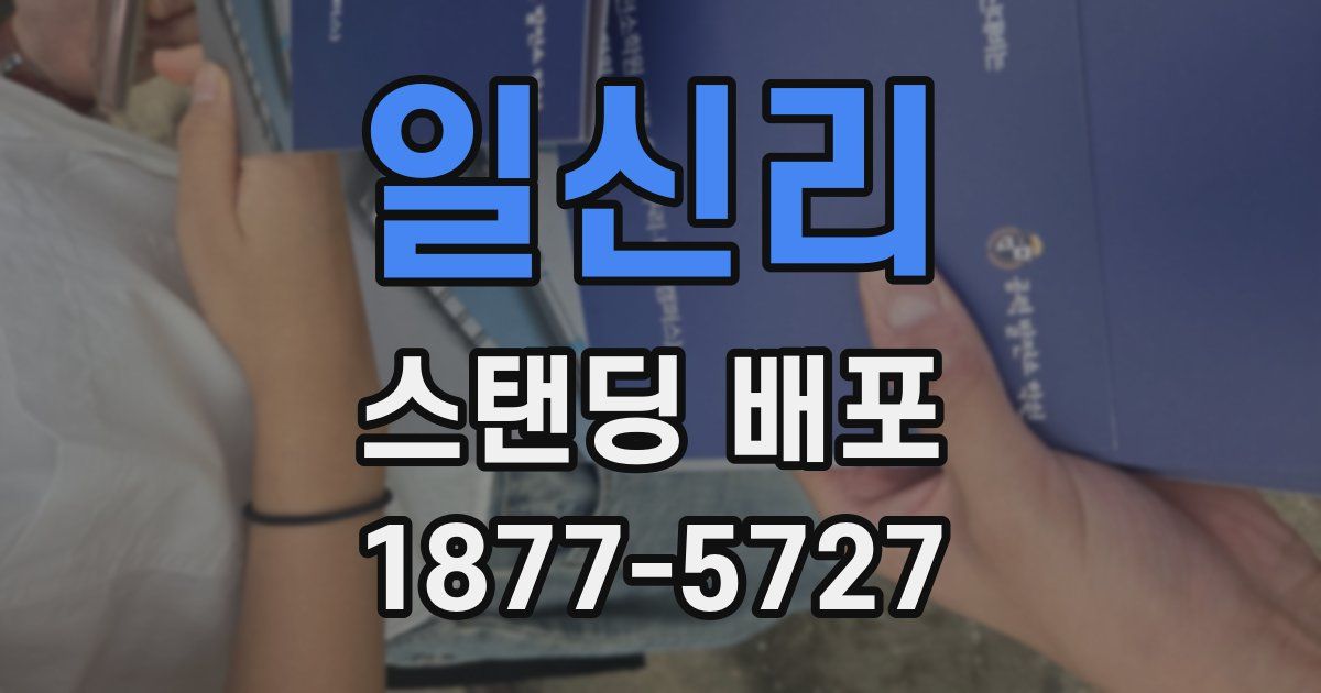 일신리 스탠딩 배포