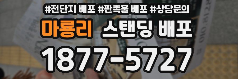 마룡리 스탠딩 배포