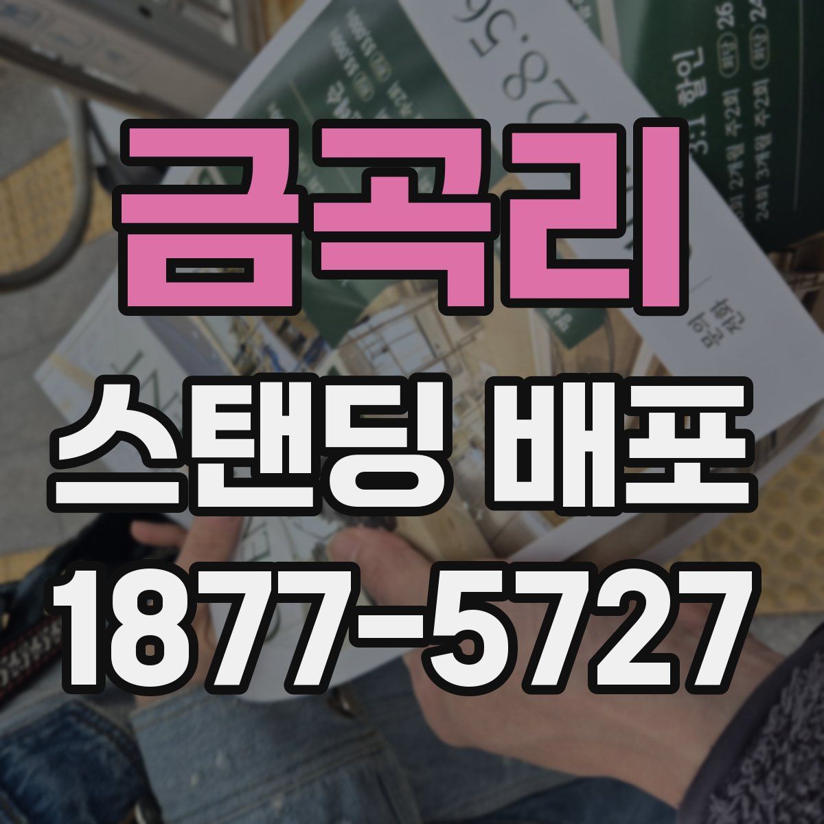 금곡리 스탠딩 배포