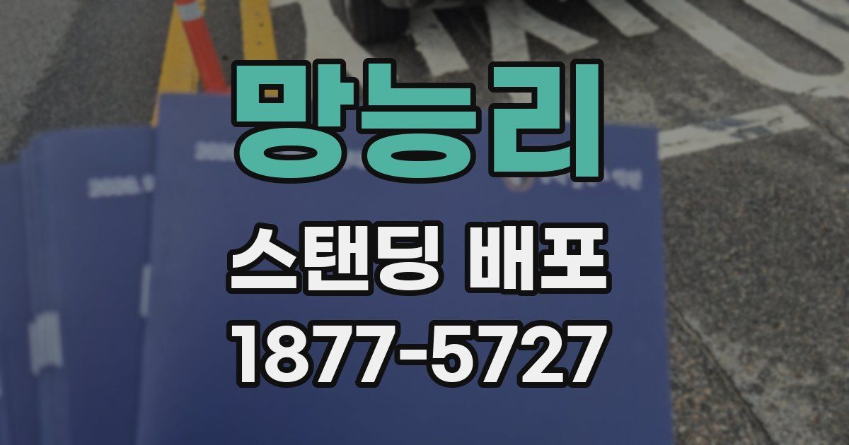 망능리 스탠딩 배포