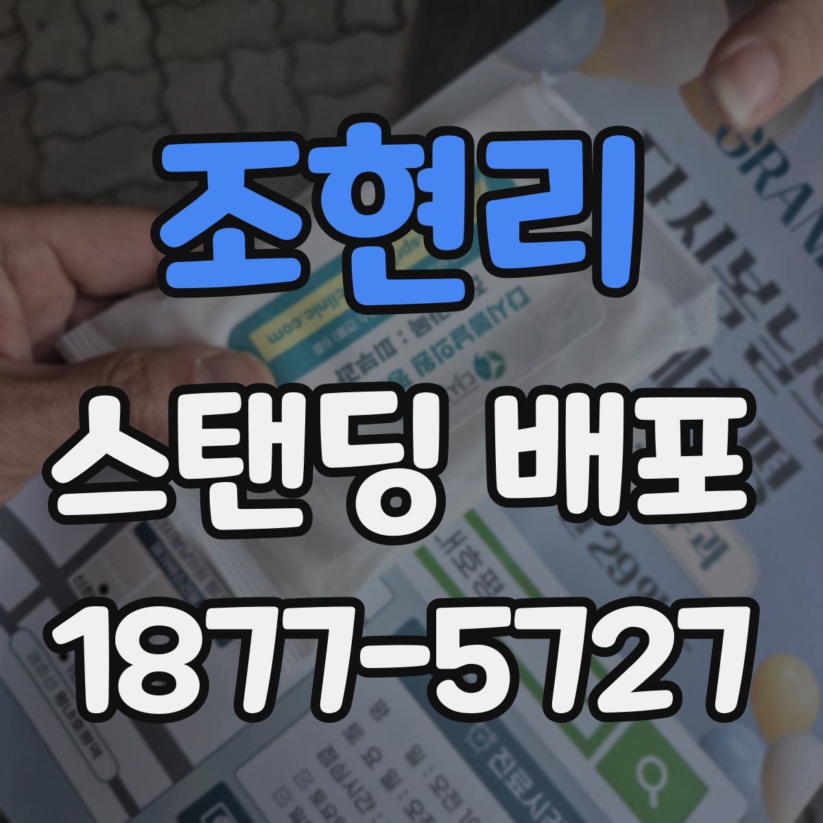조현리 스탠딩 배포