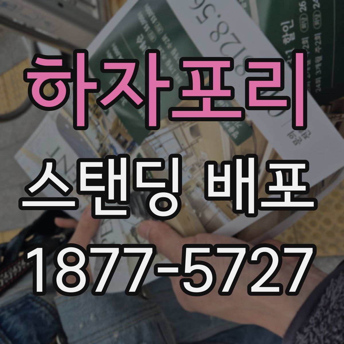 하자포리 스탠딩 배포