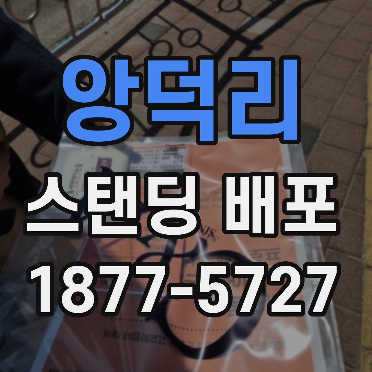 앙덕리 스탠딩 배포