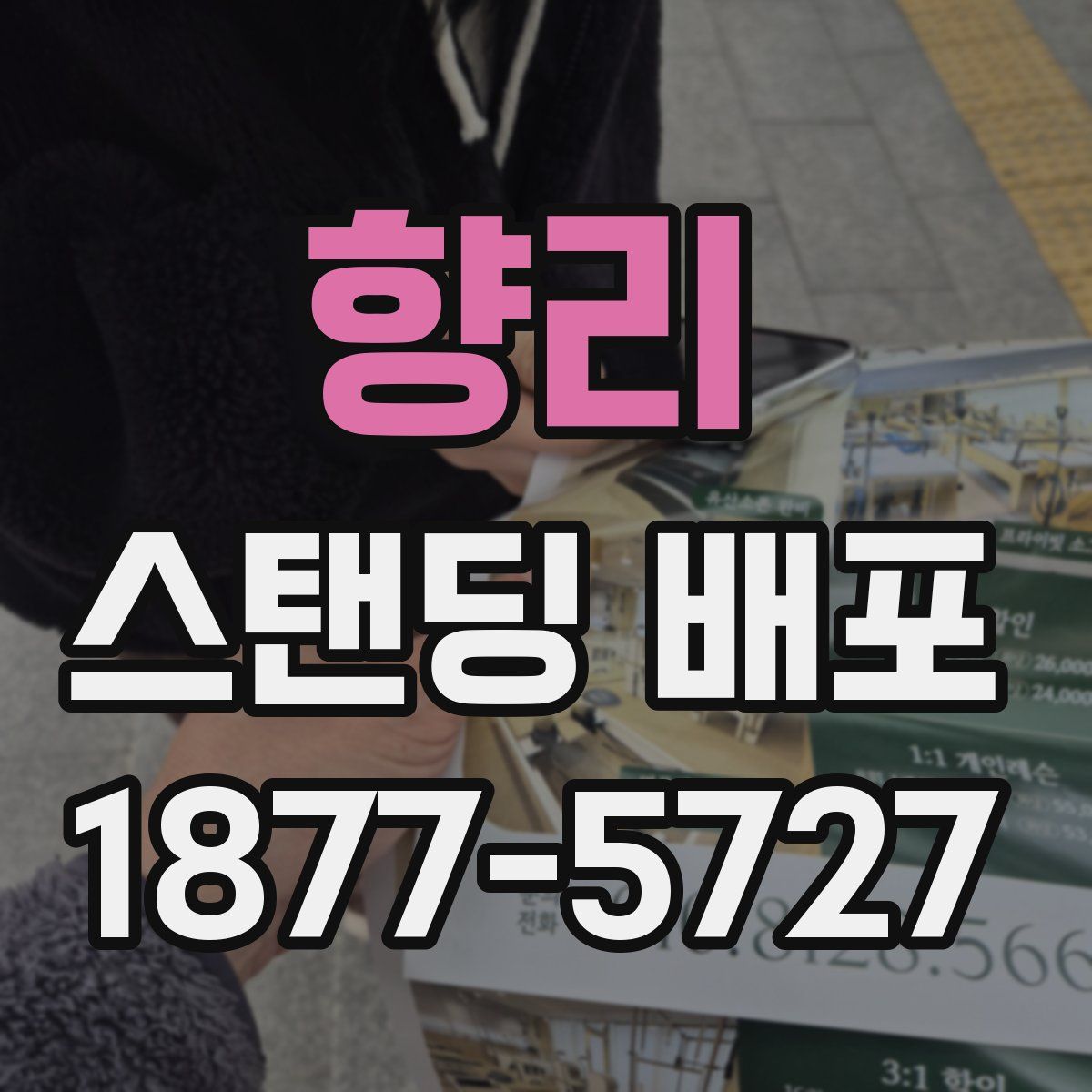 향리 스탠딩 배포