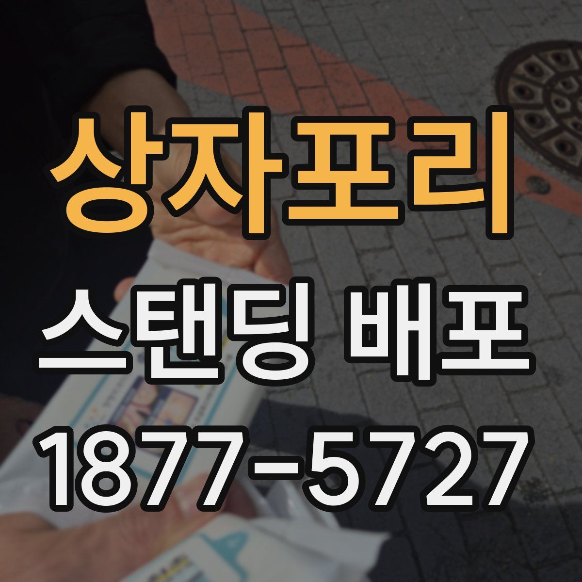 상자포리 스탠딩 배포