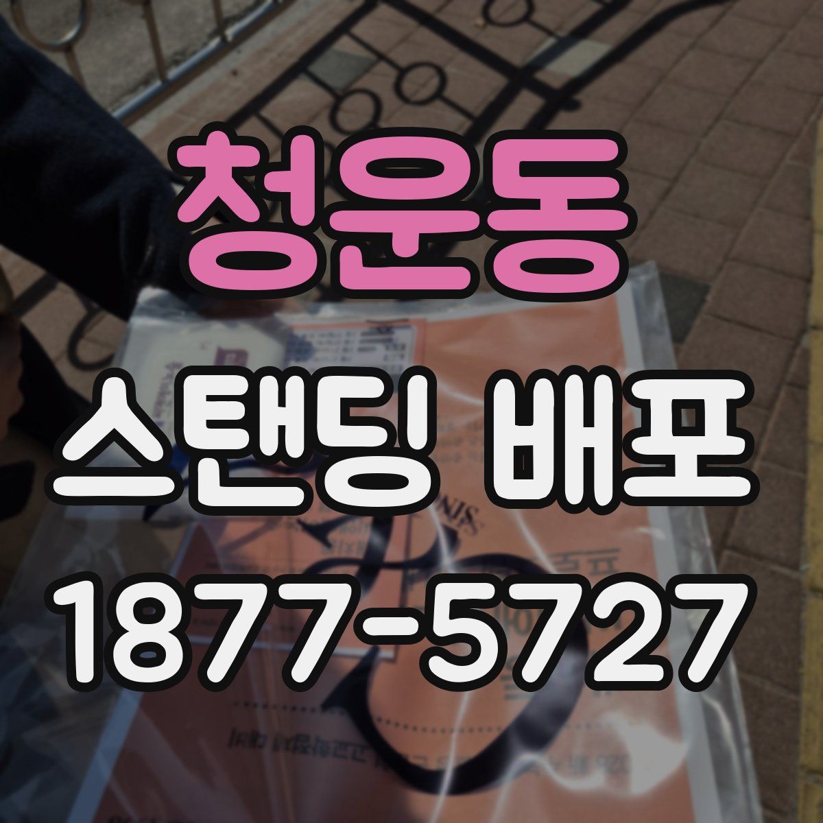 청운동 스탠딩 배포