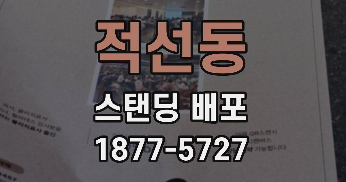 적선동 스탠딩 배포