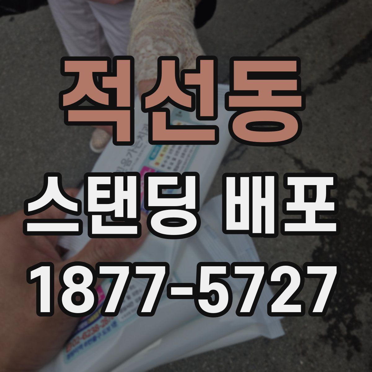 적선동 스탠딩 배포