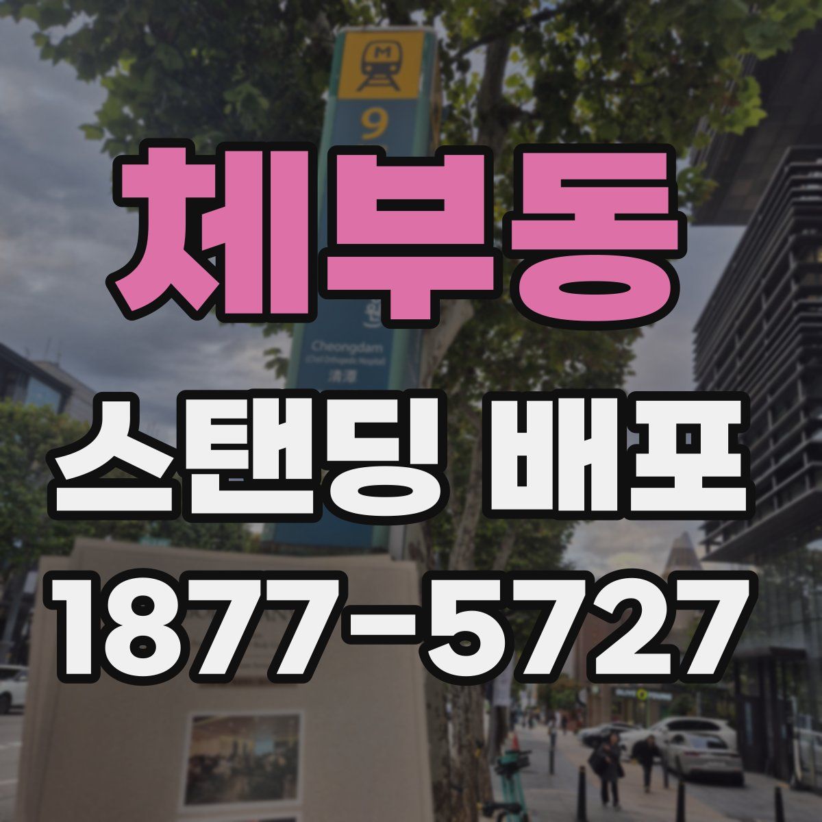 체부동 스탠딩 배포