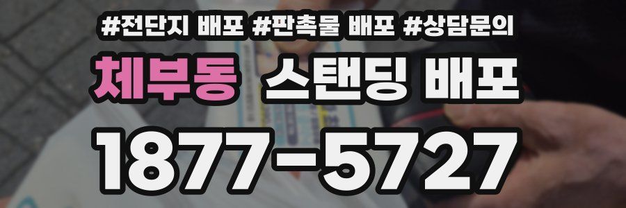 체부동 스탠딩 배포