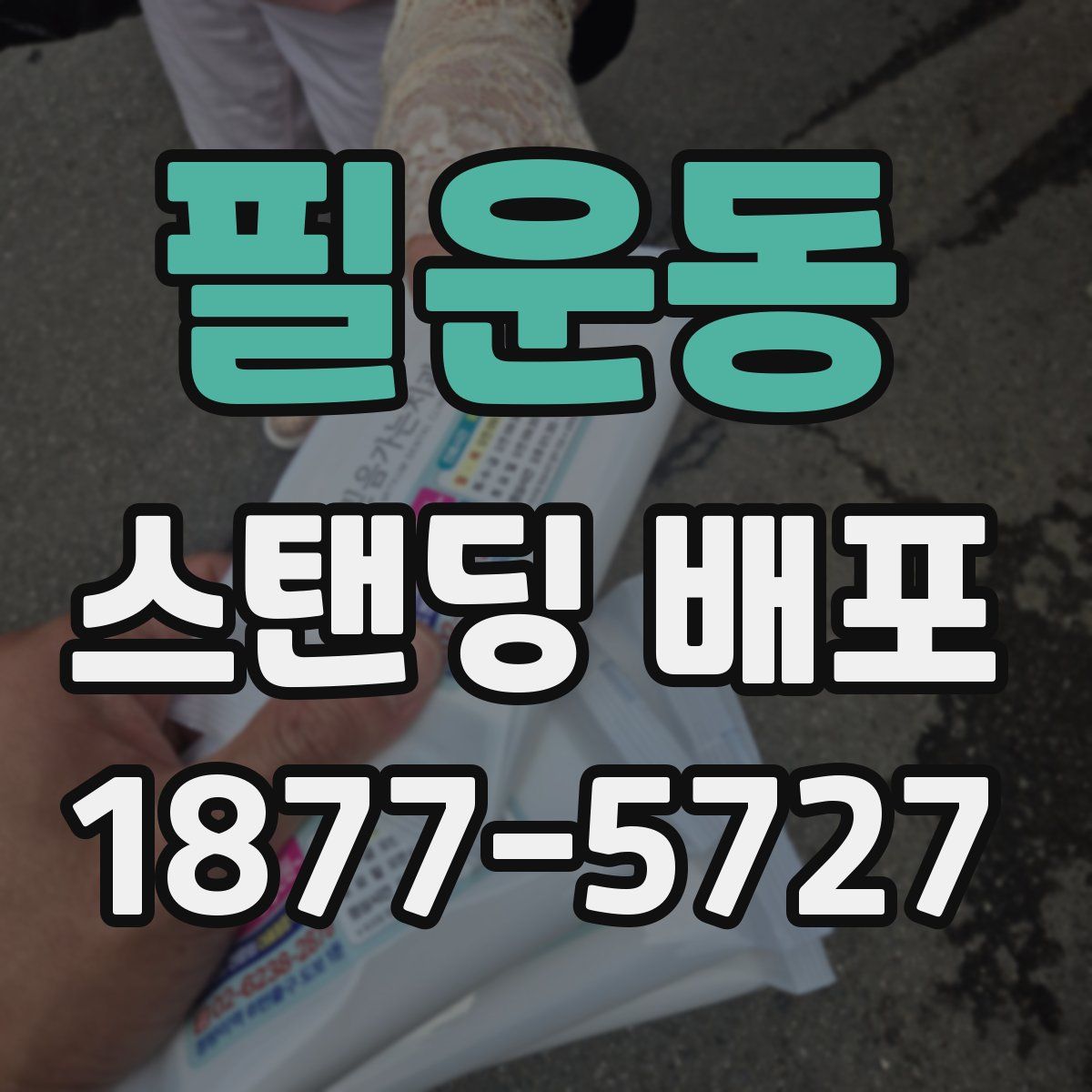 필운동 스탠딩 배포